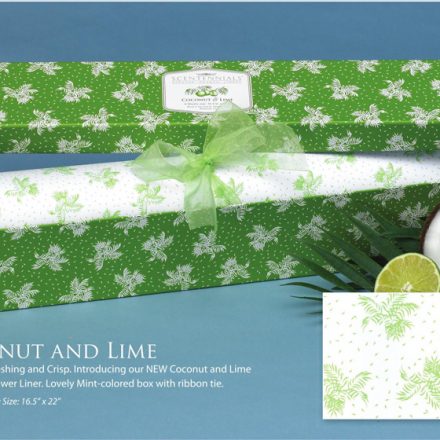 Coconut and Lime Scented Drawer Liners - Canada Scents