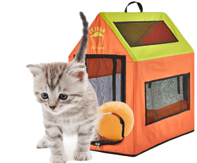 Pet Houses: An image of Orange Zeffen Pet House with a Kitten standing outside with an Orange Tennis Ball. Sold by Uloveigftz Mississauga